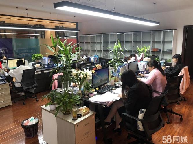 审计与审计咨询服务 从合规守护者到价值赋能者