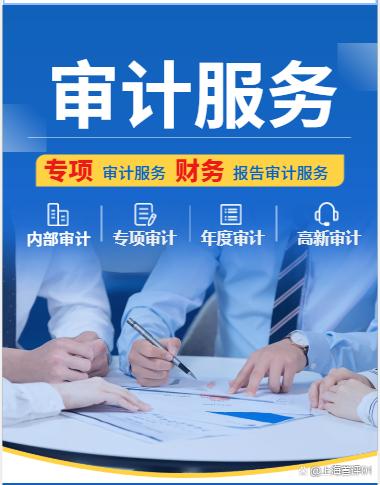 专业审计报告服务